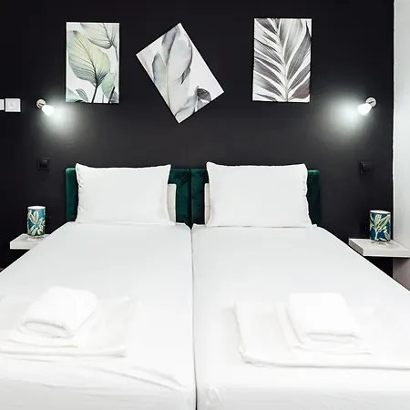 брик * Сапарева Баня